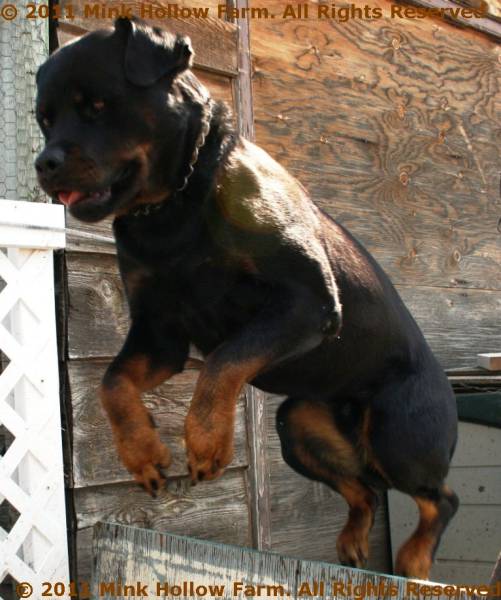 2010-07-27_12-34-31_004.jpg 2010-07-27_12-34-31_004.jpg