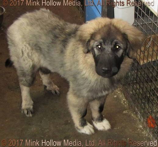 2017-11-17-12-58-45_wm.jpg 2017-11-17-12-58-45_wm.jpg