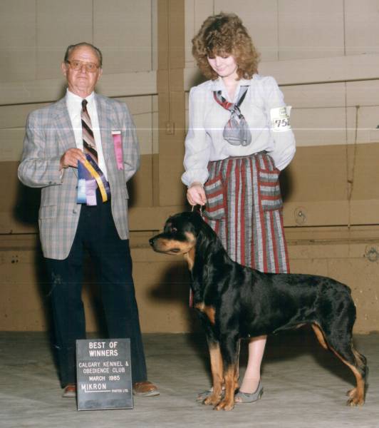 schinken3.jpg schinken3.jpg