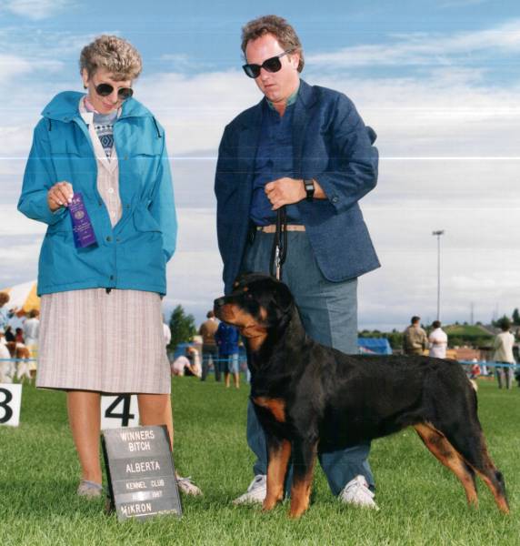 lacey2.jpg lacey2.jpg