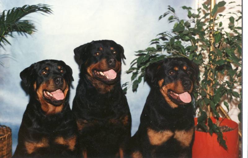 fagan-ninja-atreu.jpg fagan-ninja-atreu.jpg