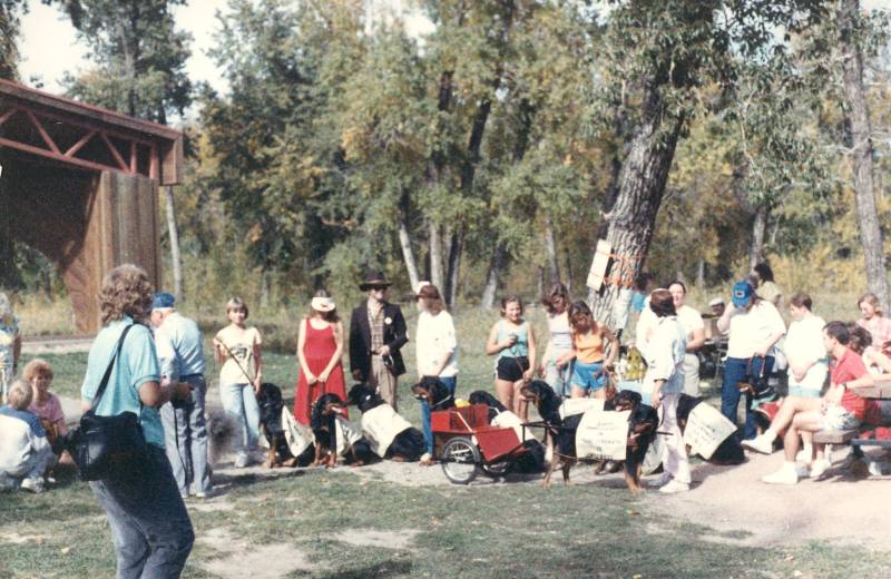 1987-dogjog.jpg 1987-dogjog.jpg