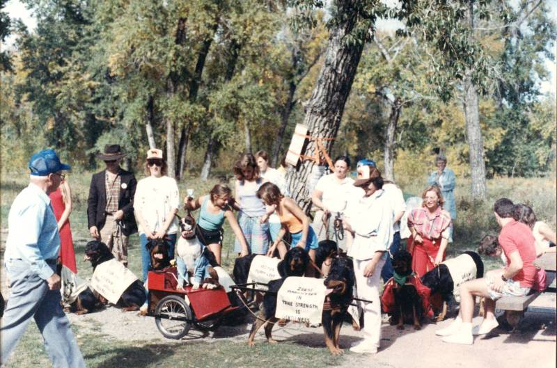 1987-dogjog2.jpg 1987-dogjog2.jpg