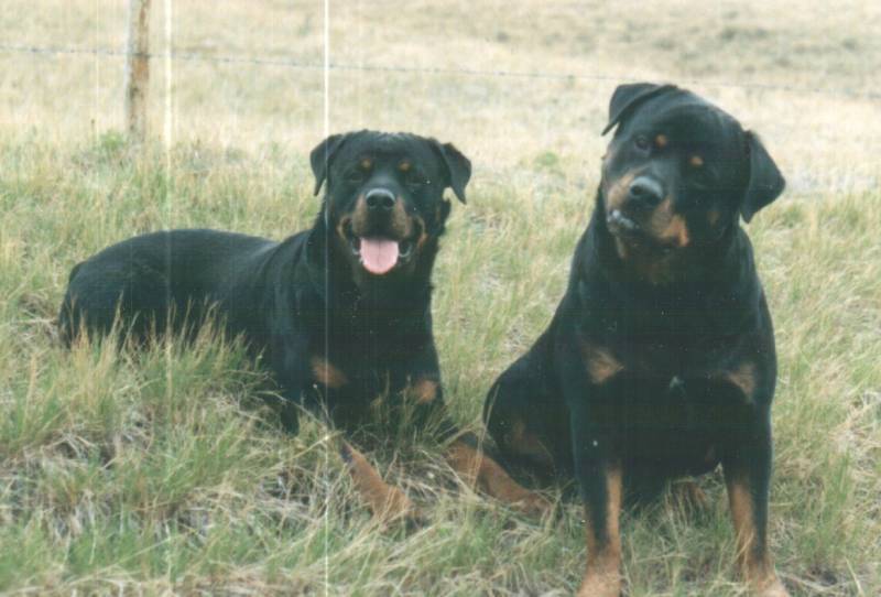 LEAD Technologies Inc. V1.01 LEAD Technologies Inc. V1.01