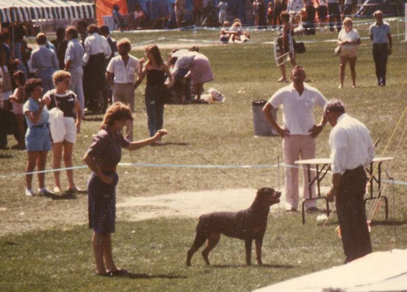 1984-08-04.jpg 1984-08-04.jpg