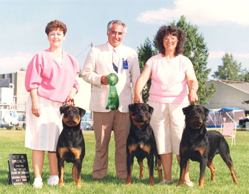 abe-prog.jpg abe-prog.jpg