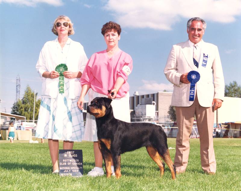 bryloukis-just-the-beginning.jpg bryloukis-just-the-beginning.jpg