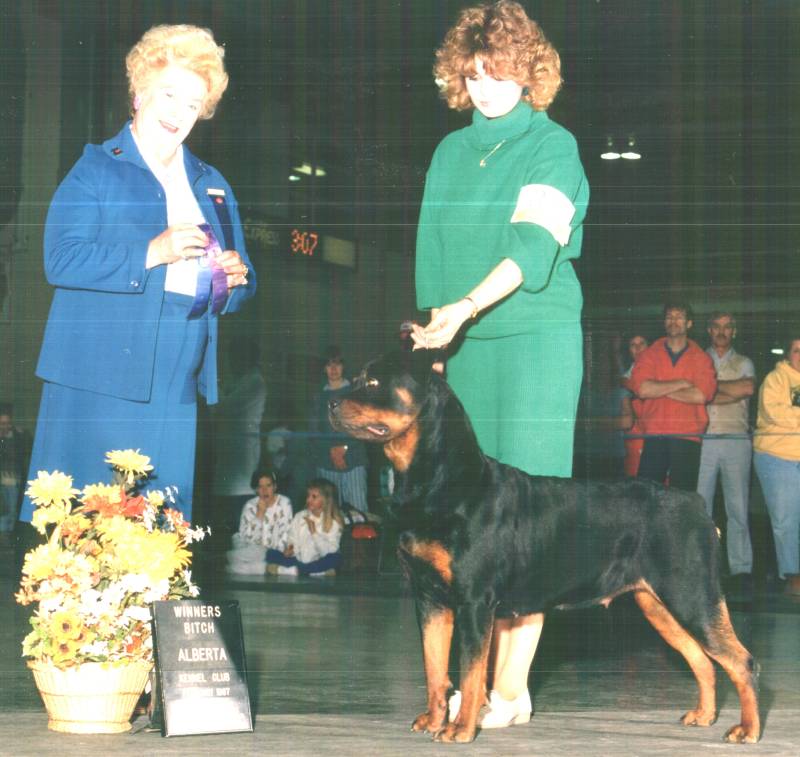 LEAD Technologies Inc. V1.01 LEAD Technologies Inc. V1.01