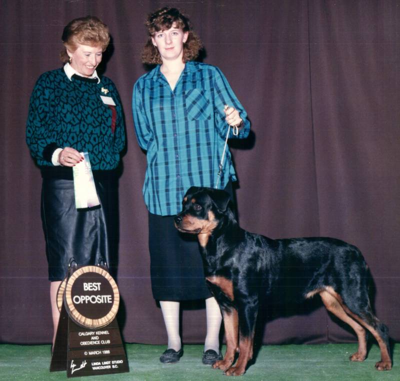 briana1.jpg briana1.jpg